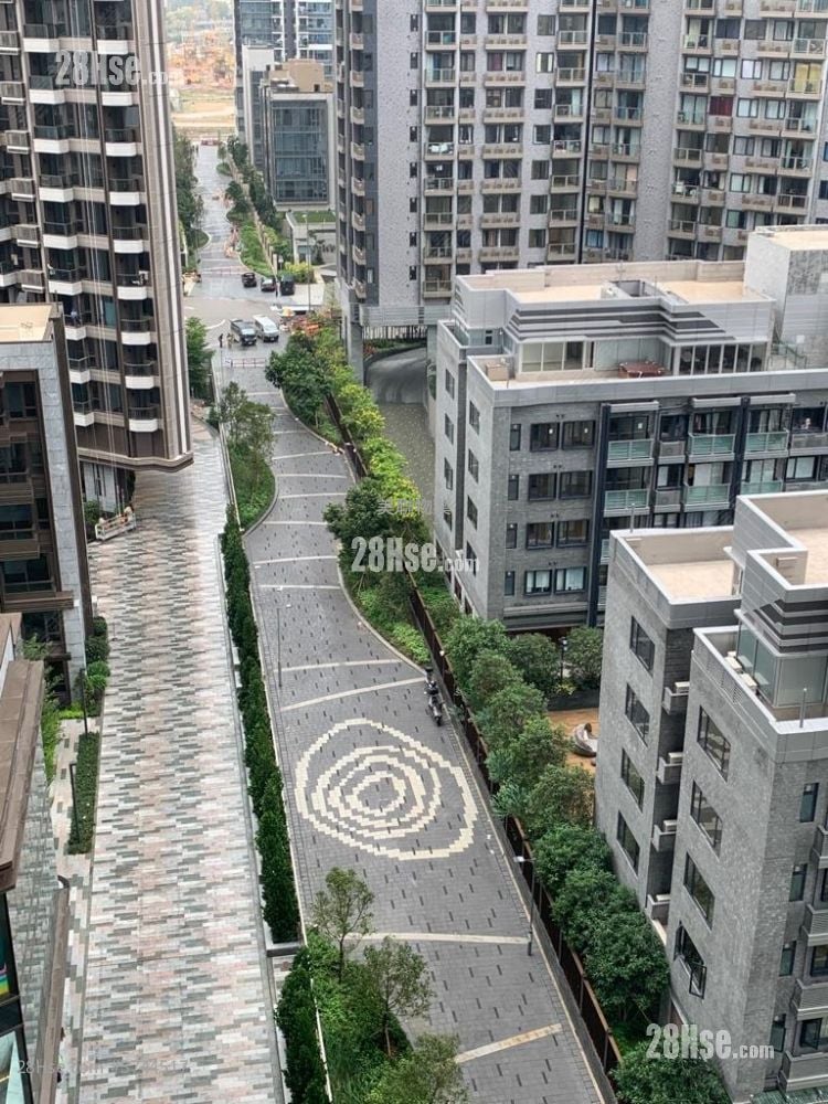 Vibe Centro Sell 1 Bedroom 306 ft²