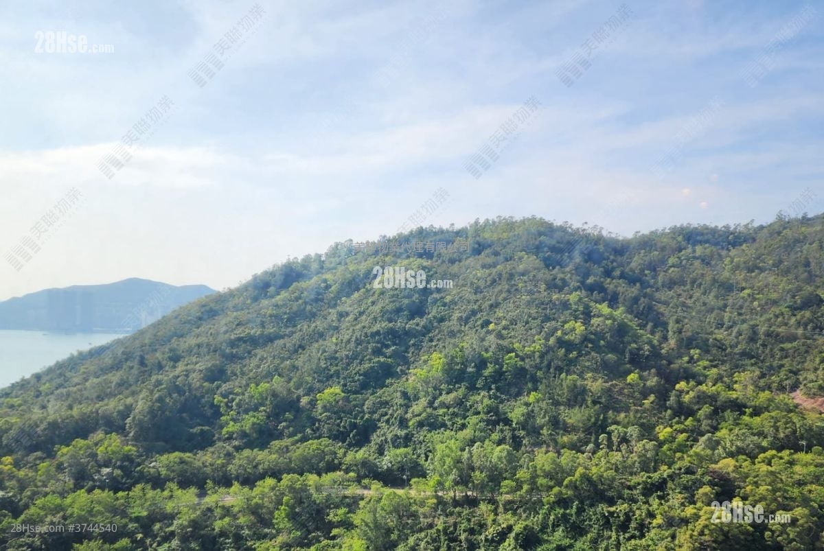 Ocean Shores Sell 2 Bedrooms , 1 Bathroom 543 ft²