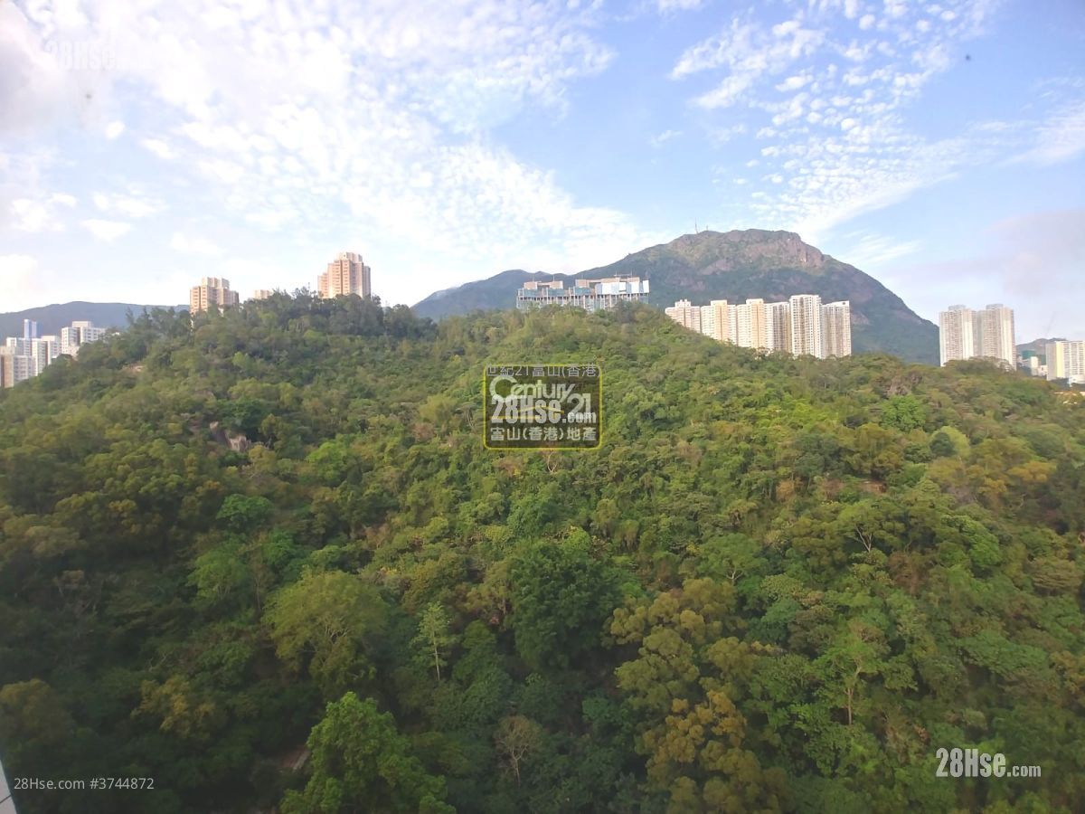 威豪花園 租盤 3 房 , 2 浴室 637 平方呎