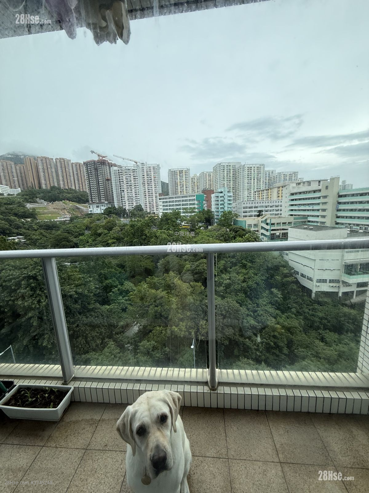 貝沙灣 售盤 3 房 , 3 浴室 1,100 平方呎