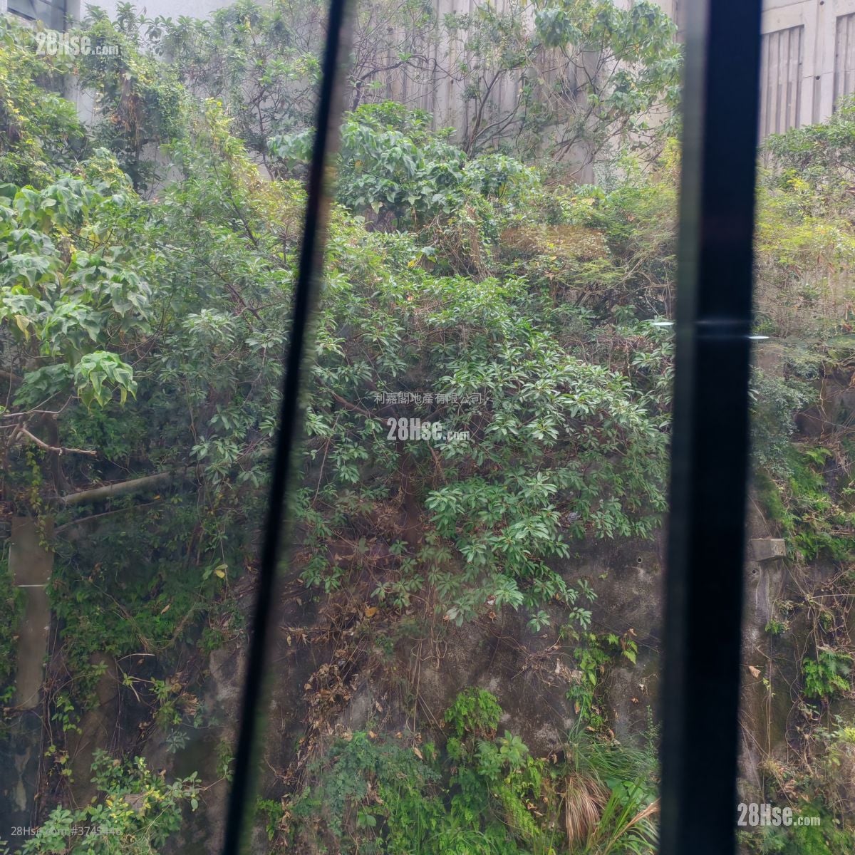 康怡花园 售盘 2 房 490 平方尺