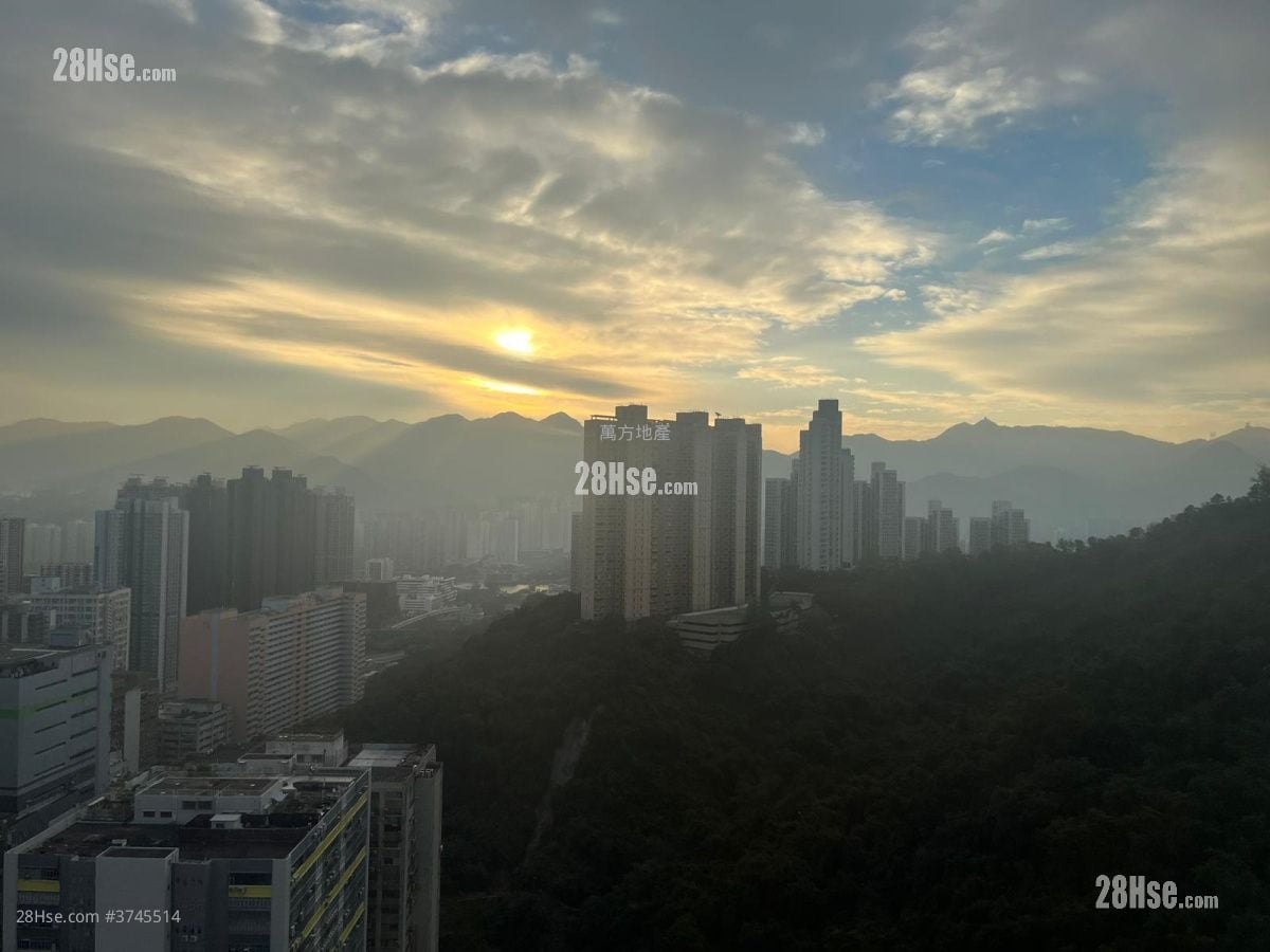 彩禾苑 售盤 2 房 , 1 浴室 394 平方呎