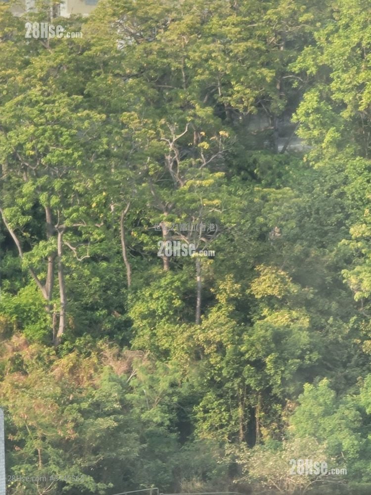 盈福苑 售盘 3 房 , 1 浴室 559 平方尺