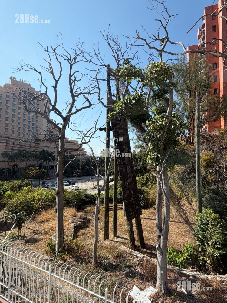 蒙地卡羅別墅 租盤 3 房 2,044 平方呎