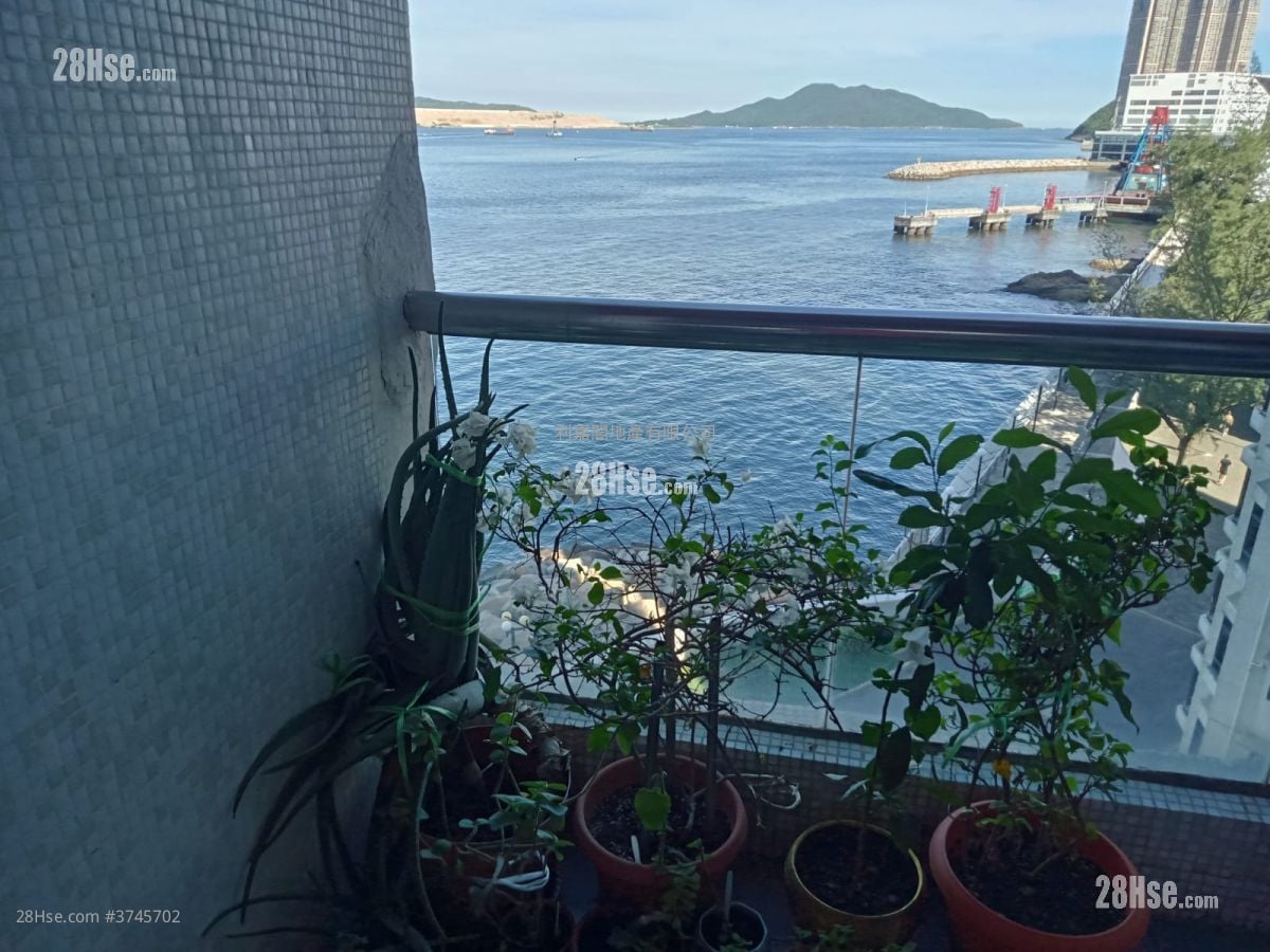 杏花邨 售盘 4 房 826 平方尺