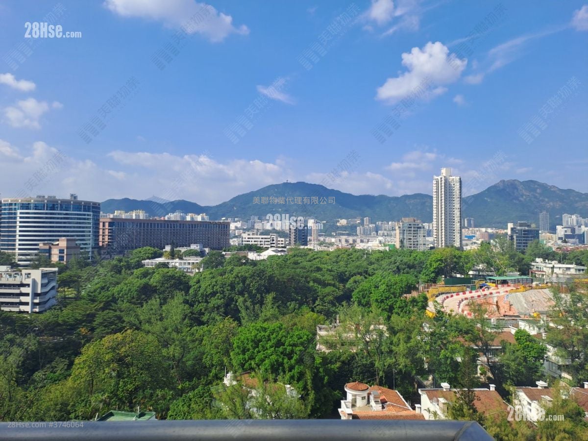 Kadoorie Lookout Sell 3 Bedrooms , 2 Bathrooms 919 ft²