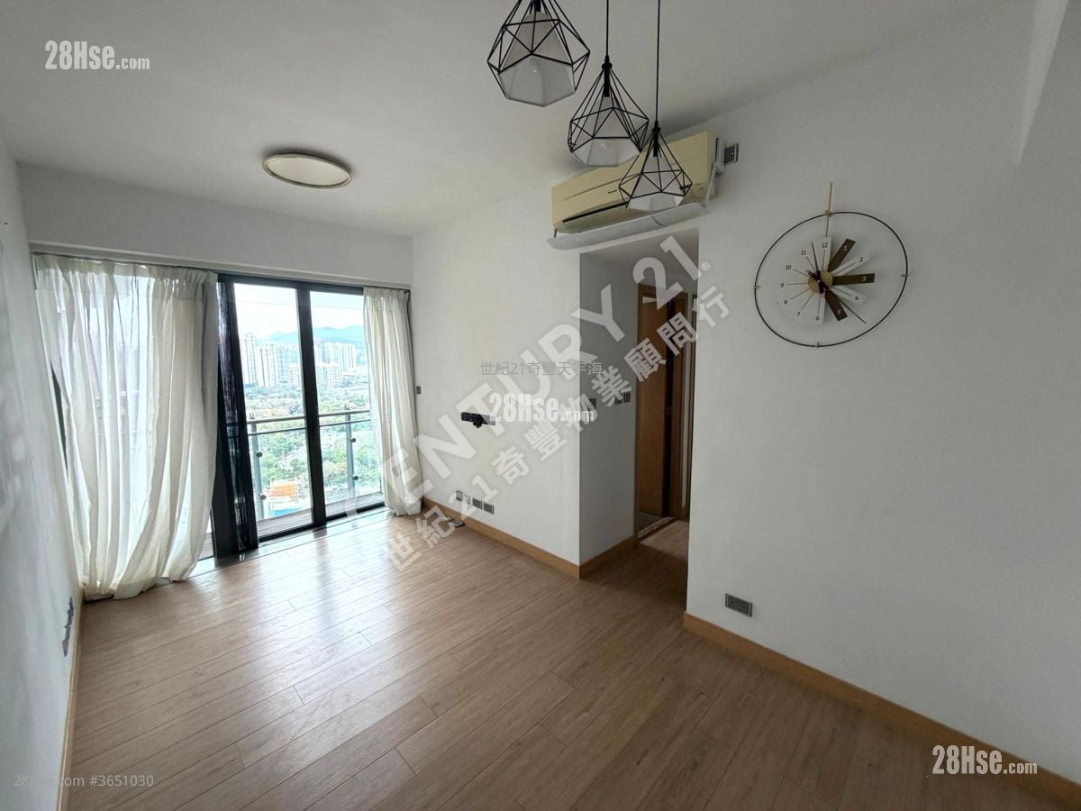 Jimmy豆生 63460809