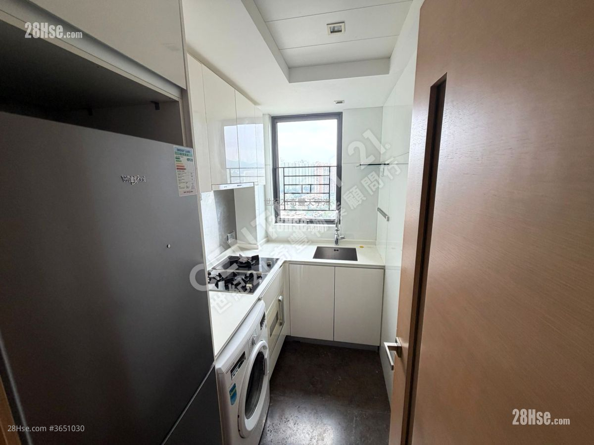 Jimmy豆生 63460809