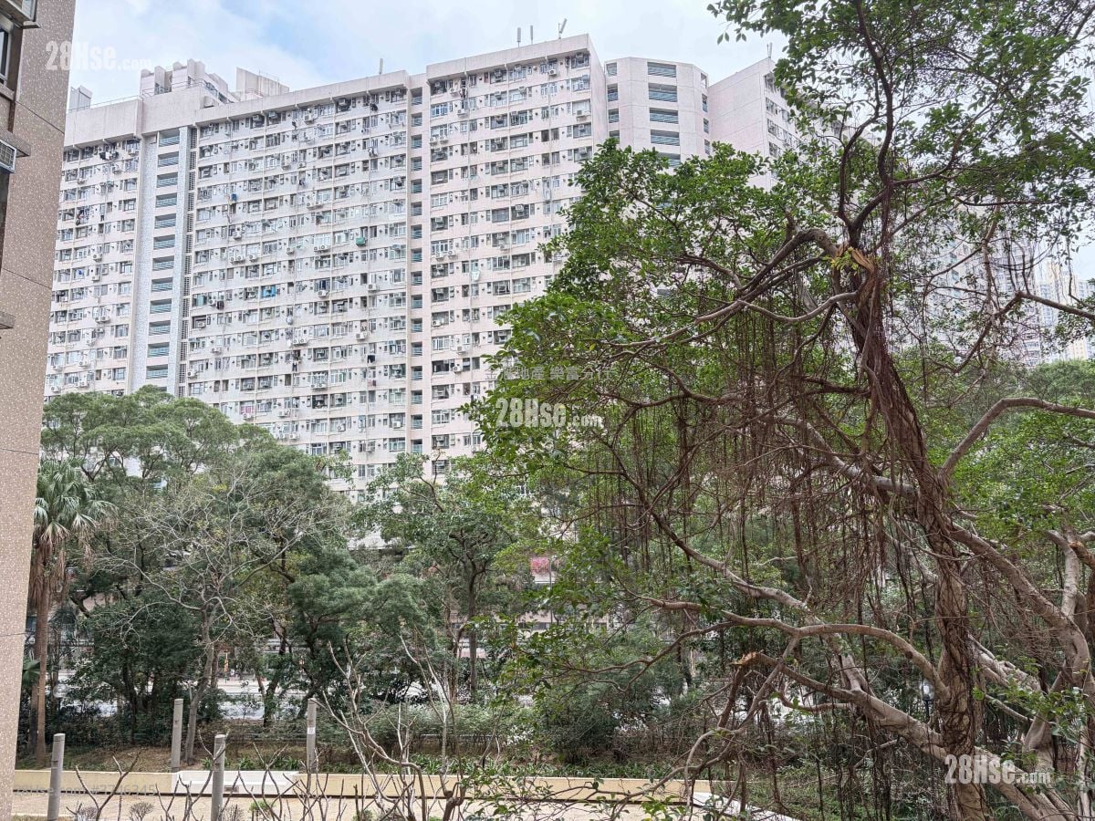 龍蟠苑 售盤 2 房 , 1 浴室 383 平方呎