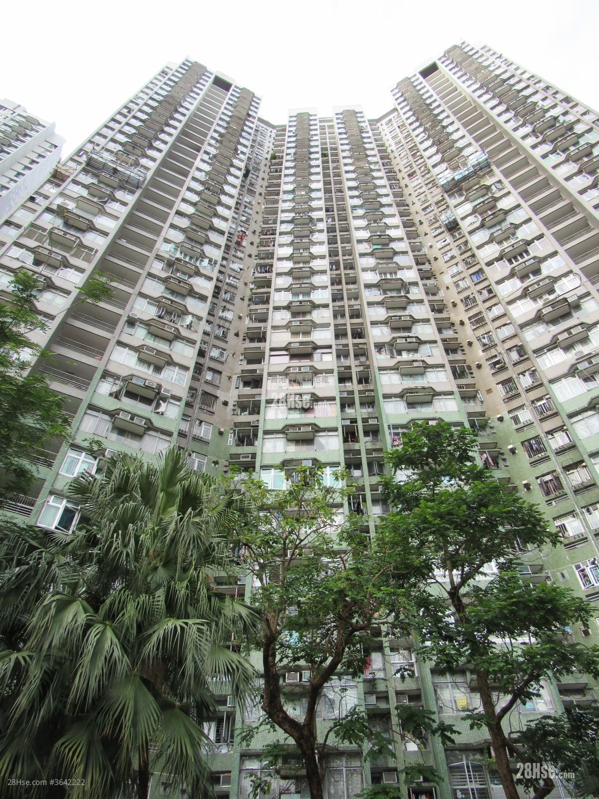 華貴邨 售盤 2 房 385 平方呎