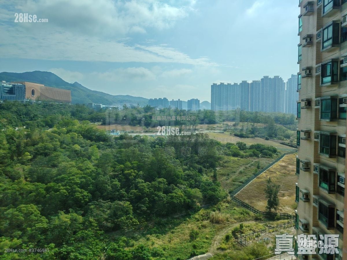 清水湾半岛 售盘 3 房 , 2 浴室 679 平方尺