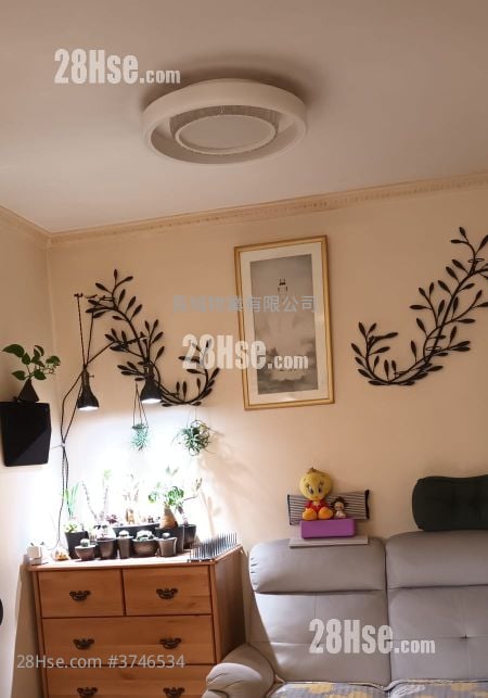 富怡花園 售盤 3 房 , 1 浴室 592 平方呎