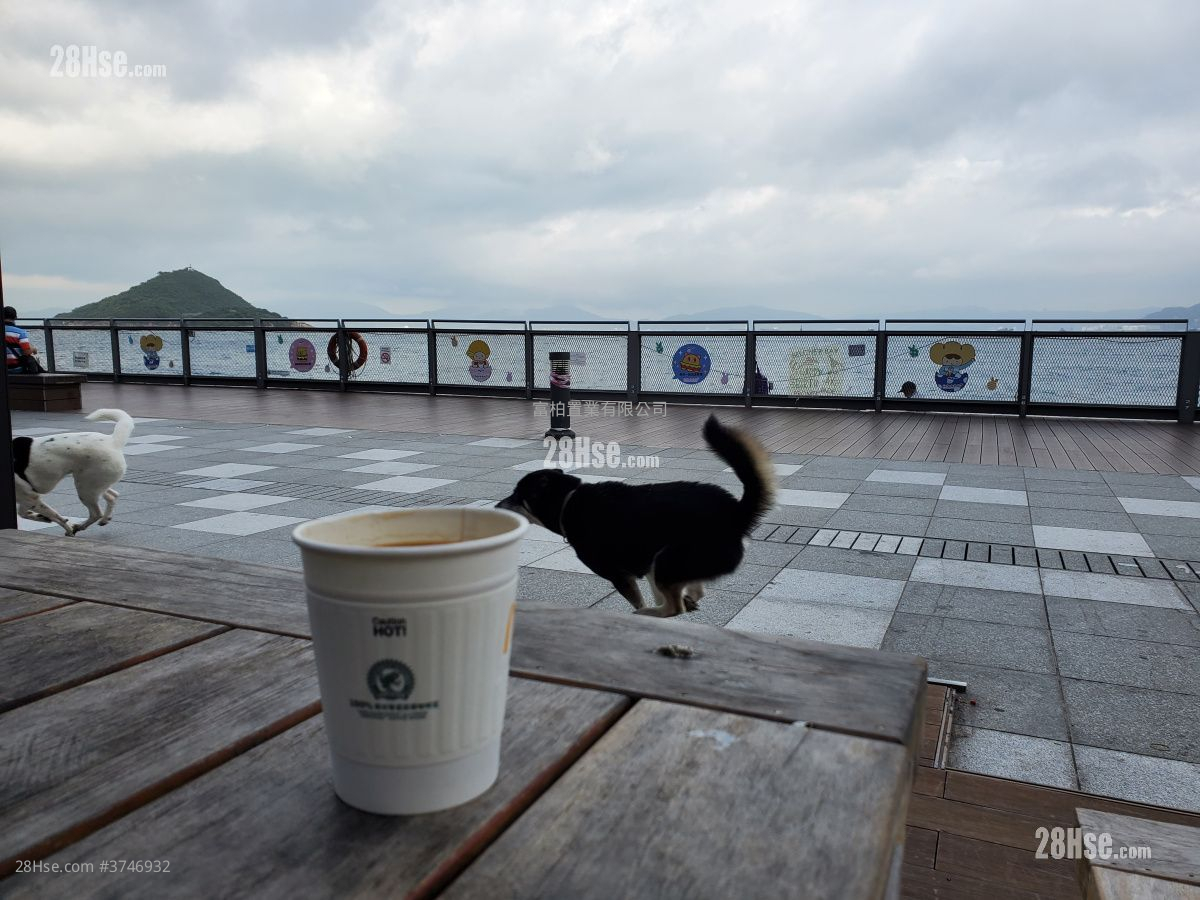 Harbour View Garden Sell 2 Bedrooms , 1 Bathroom 395 ft²