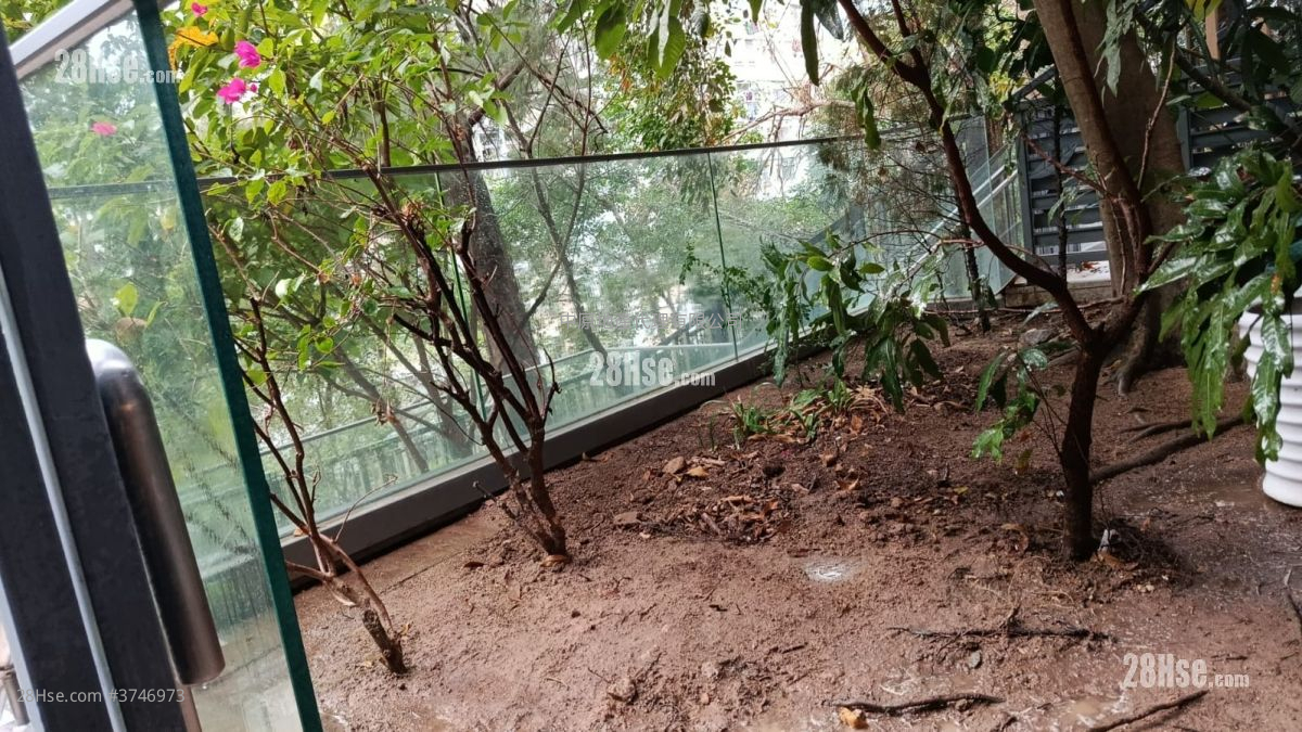 No.62 Begonia Road Sell 5+ Bedrooms , 5+ Bathrooms 4,386 ft²