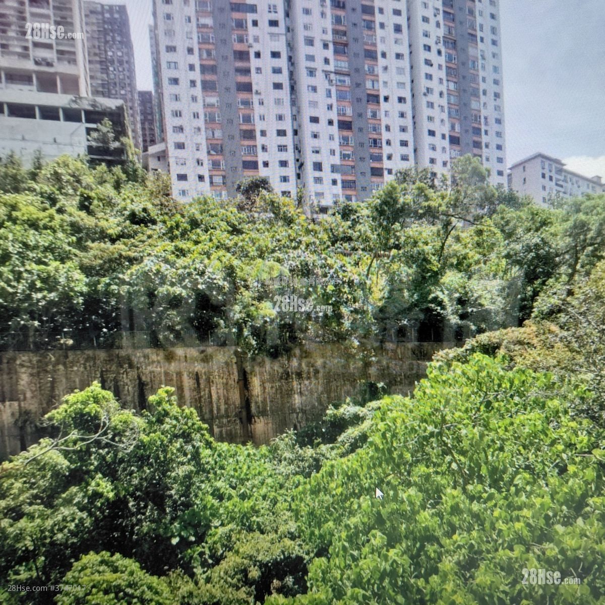 富景阁 售盘 1 房 , 1 浴室 274 平方尺