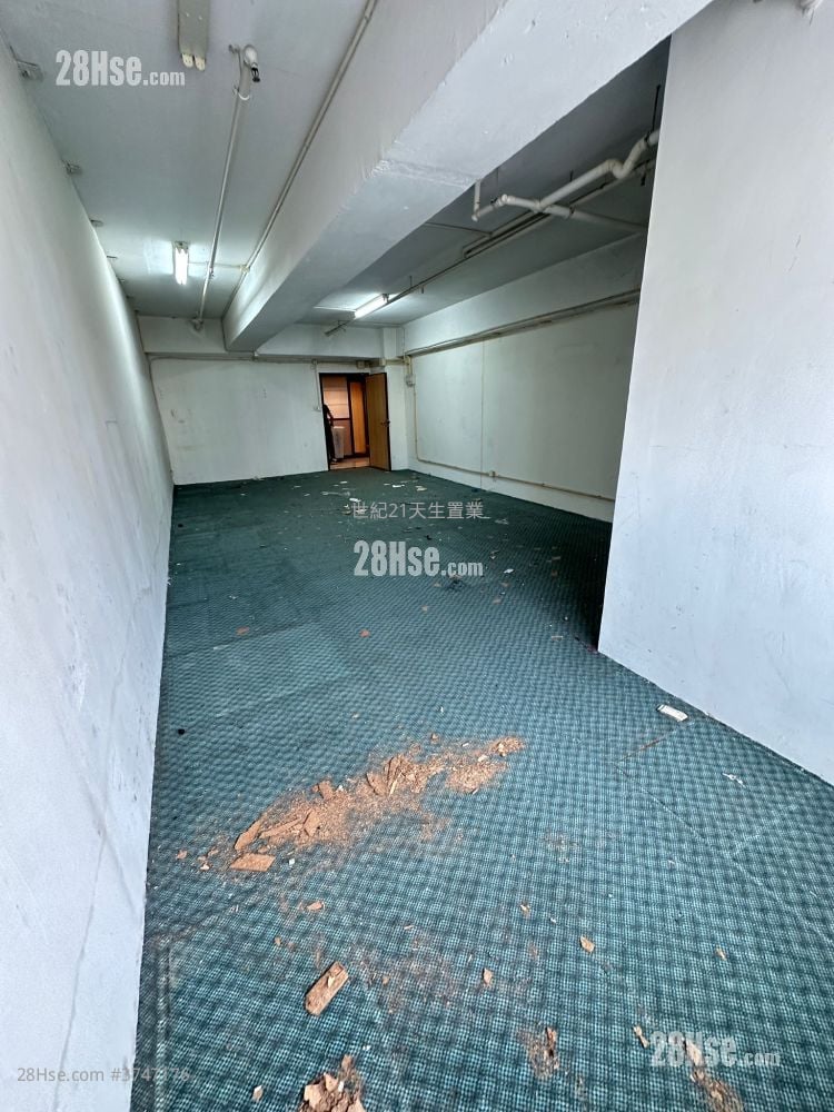 My Loft Sell 1 Toilet