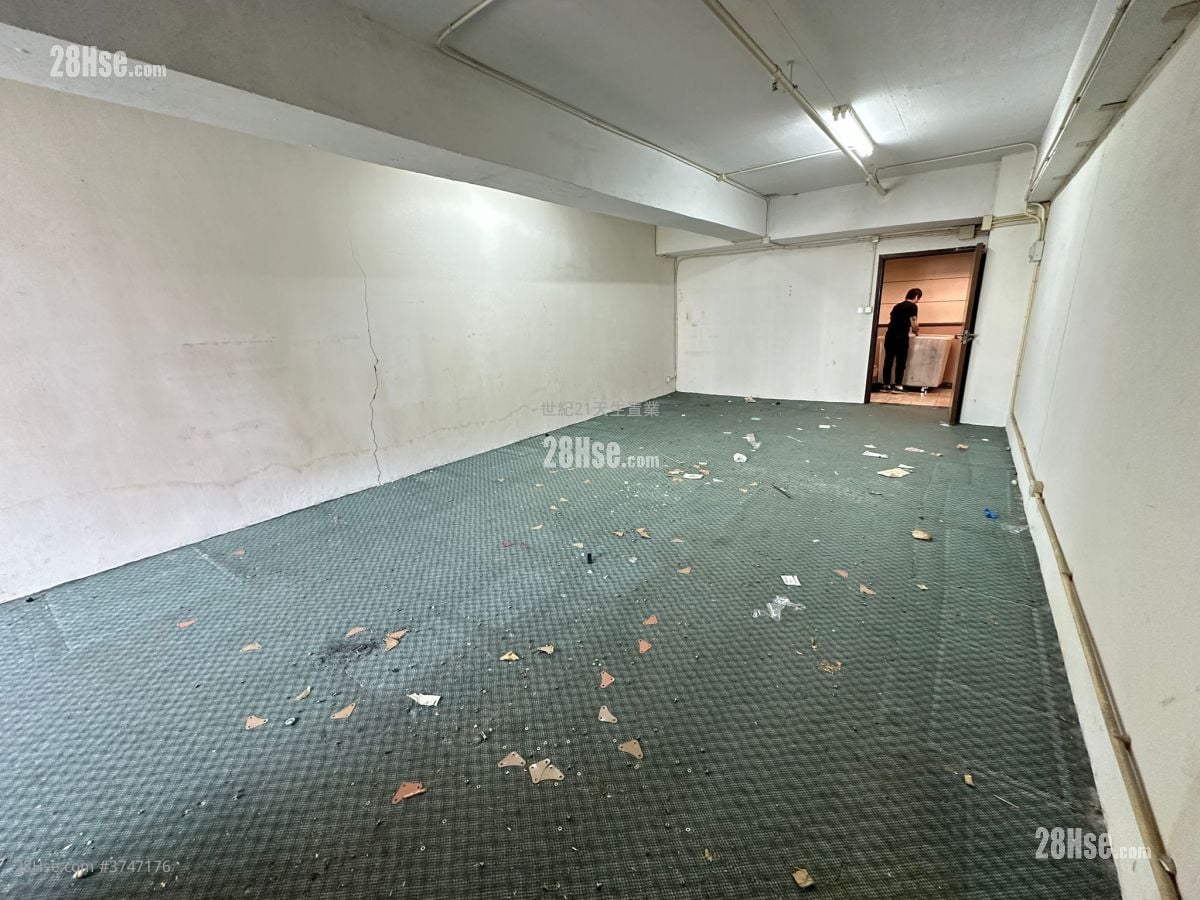 My Loft Sell 1 Toilet