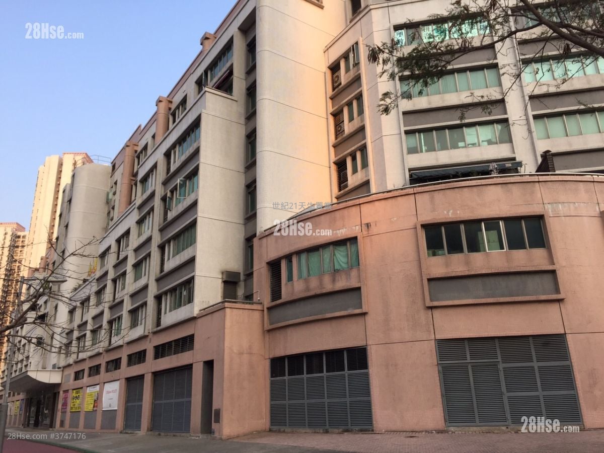 My Loft Sell 1 Toilet