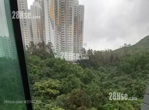 嵐山 售盤 2 房 , 1 浴室 493 平方呎