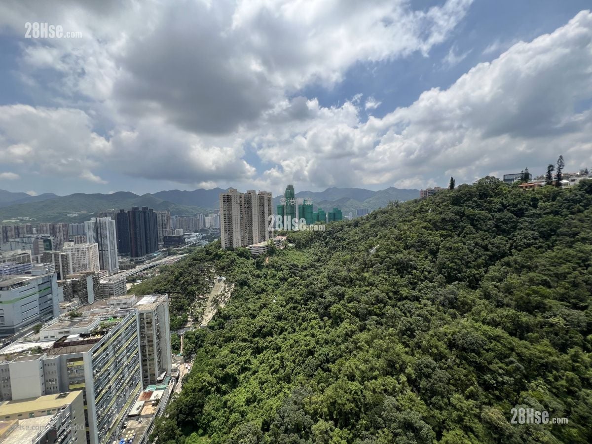 彩禾苑 售盘 3 房 , 2 浴室 607 平方尺