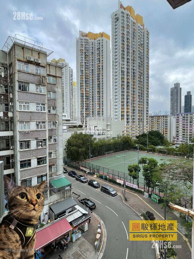 宝田大厦 租盘 2 房 , 1 浴室 262 平方尺