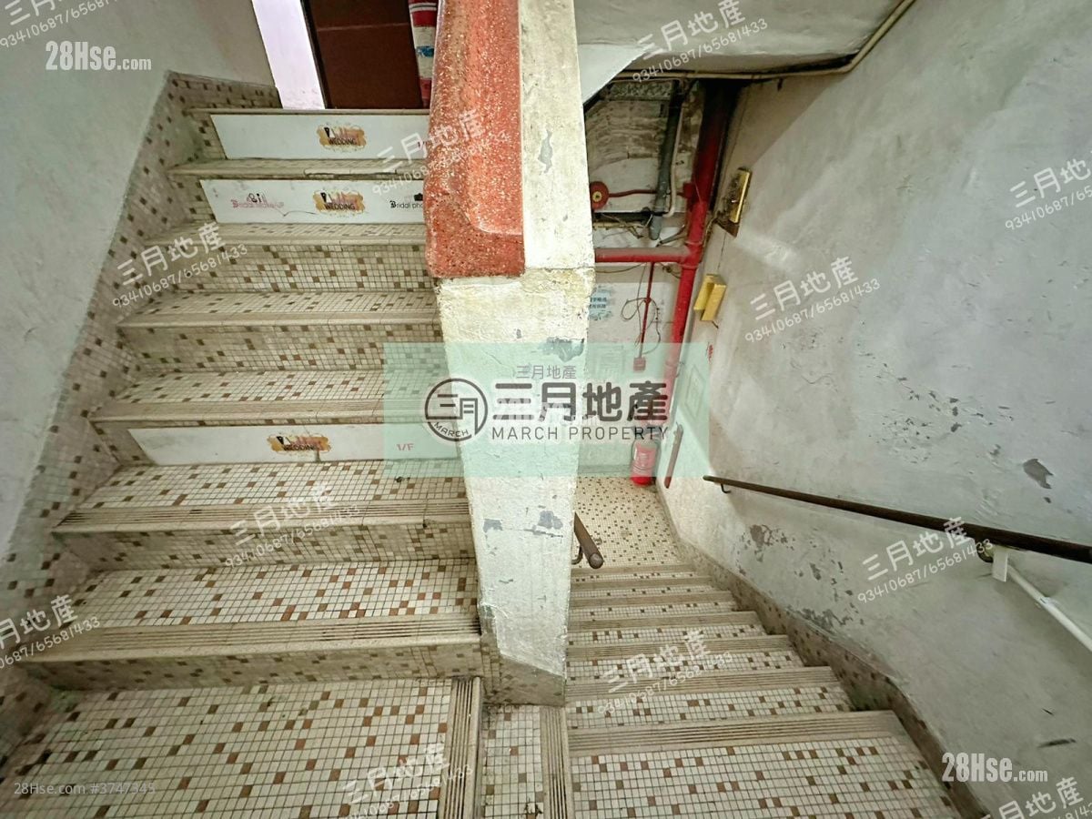 唐楼 售盘 1 房 , 1 浴室 274 平方尺