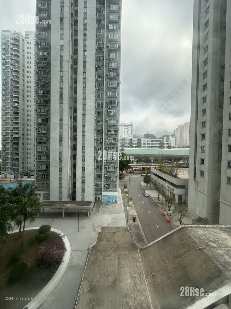 沙田第一城 租盤 451 平方呎