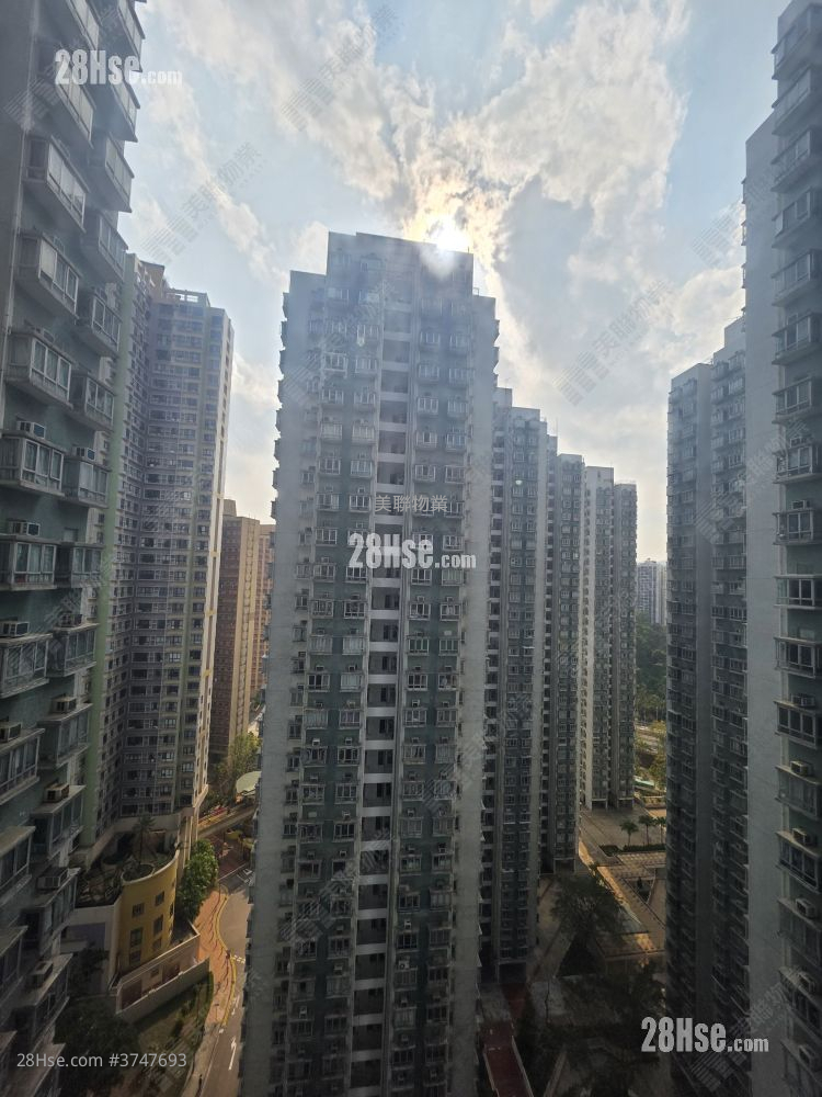 沙田第一城 售盤 1 房 , 1 浴室 304 平方呎