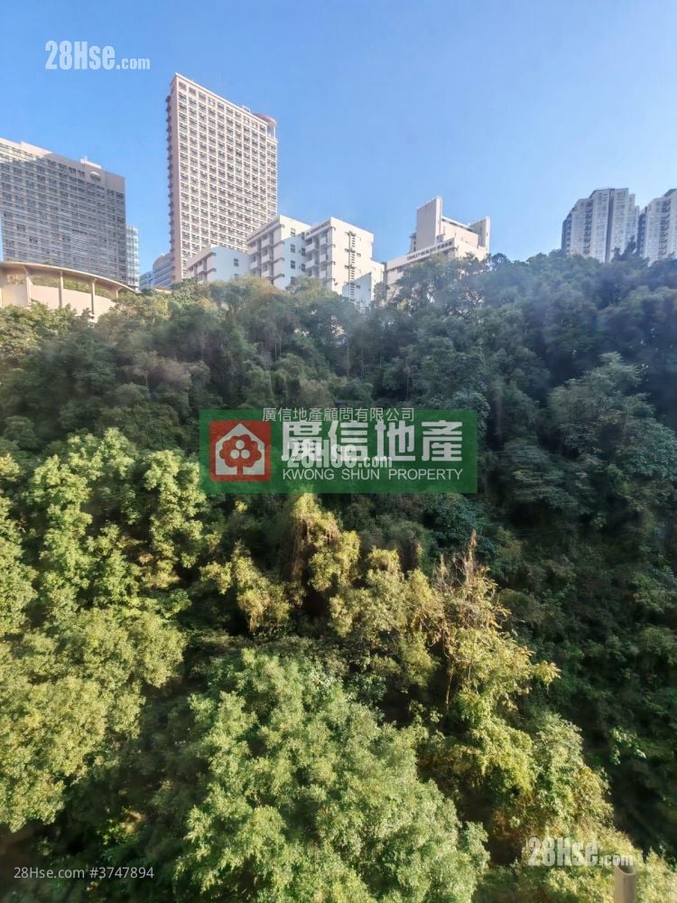 海都楼 售盘 开放式间隔 , 1 浴室 262 平方尺