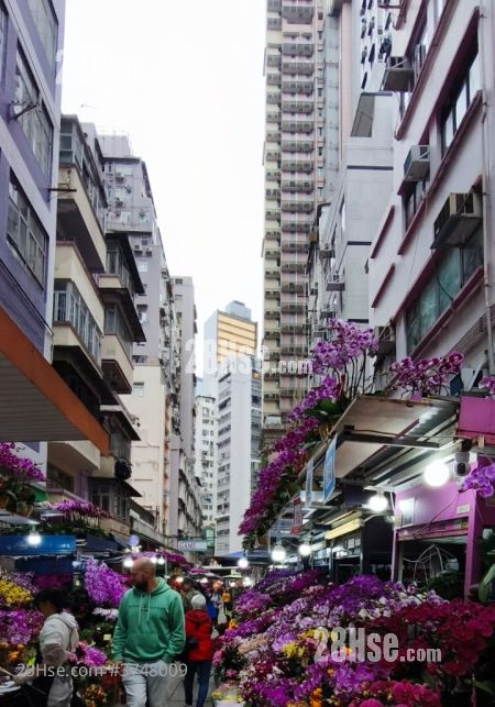 維昌大廈 租盤 2 房 , 1 浴室 474 平方呎