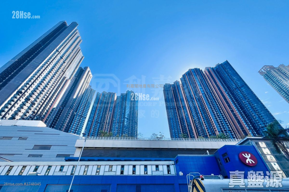 柏傲庄 售盘 3 房 663 平方尺