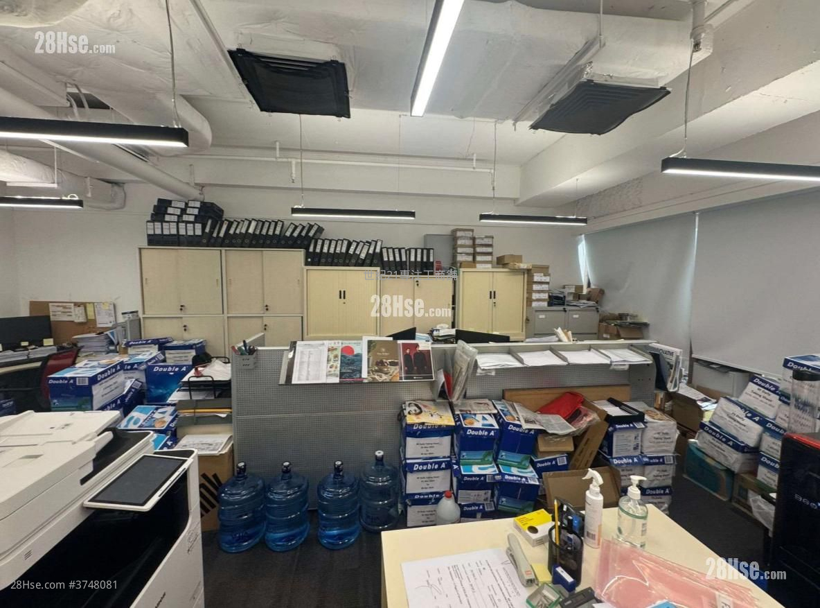 赫德道8號 租盤 5+ 房