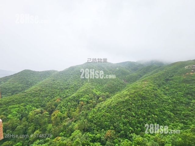 阳明山庄 售盘 3 房 , 2 浴室 1,886 平方尺