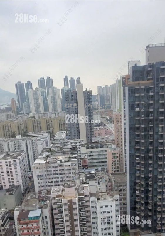 喜雅 售盤 2 房 , 1 浴室 493 平方呎