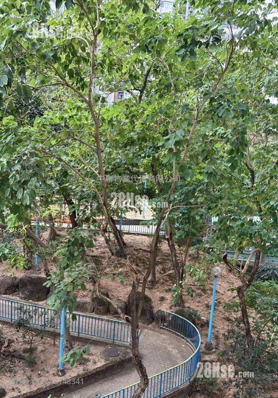 博康邨 售盤 2 房 , 1 浴室 381 平方呎