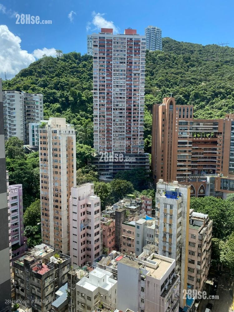 年威閣 租盤 1 房 , 1 浴室 524 平方呎