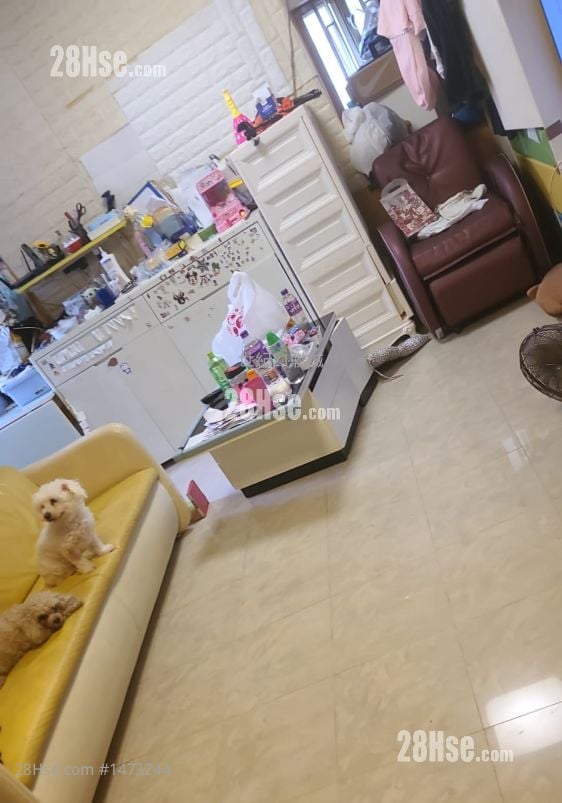 康盈苑 售盤 3 房 , 1 浴室 447 平方呎