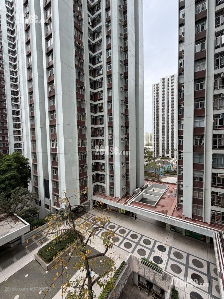 太古城 售盘 2 房 , 1 浴室 530 平方尺