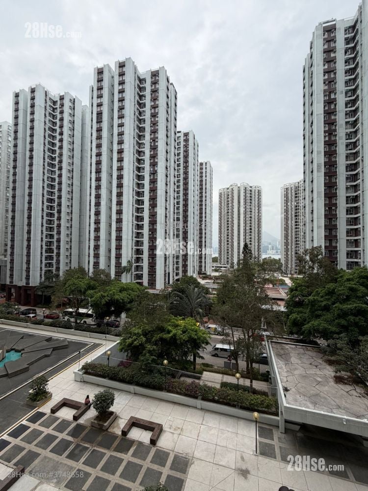 太古城 售盘 2 房 , 1 浴室 530 平方尺