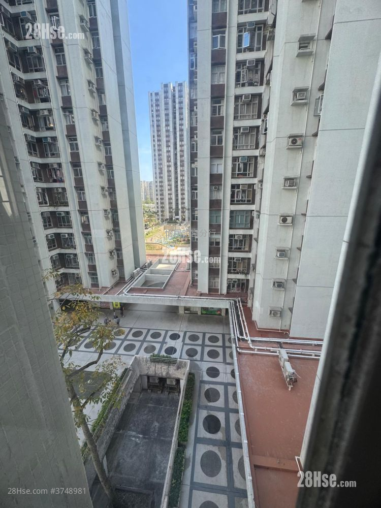 太古城 售盤 2 房 , 1 浴室 530 平方呎