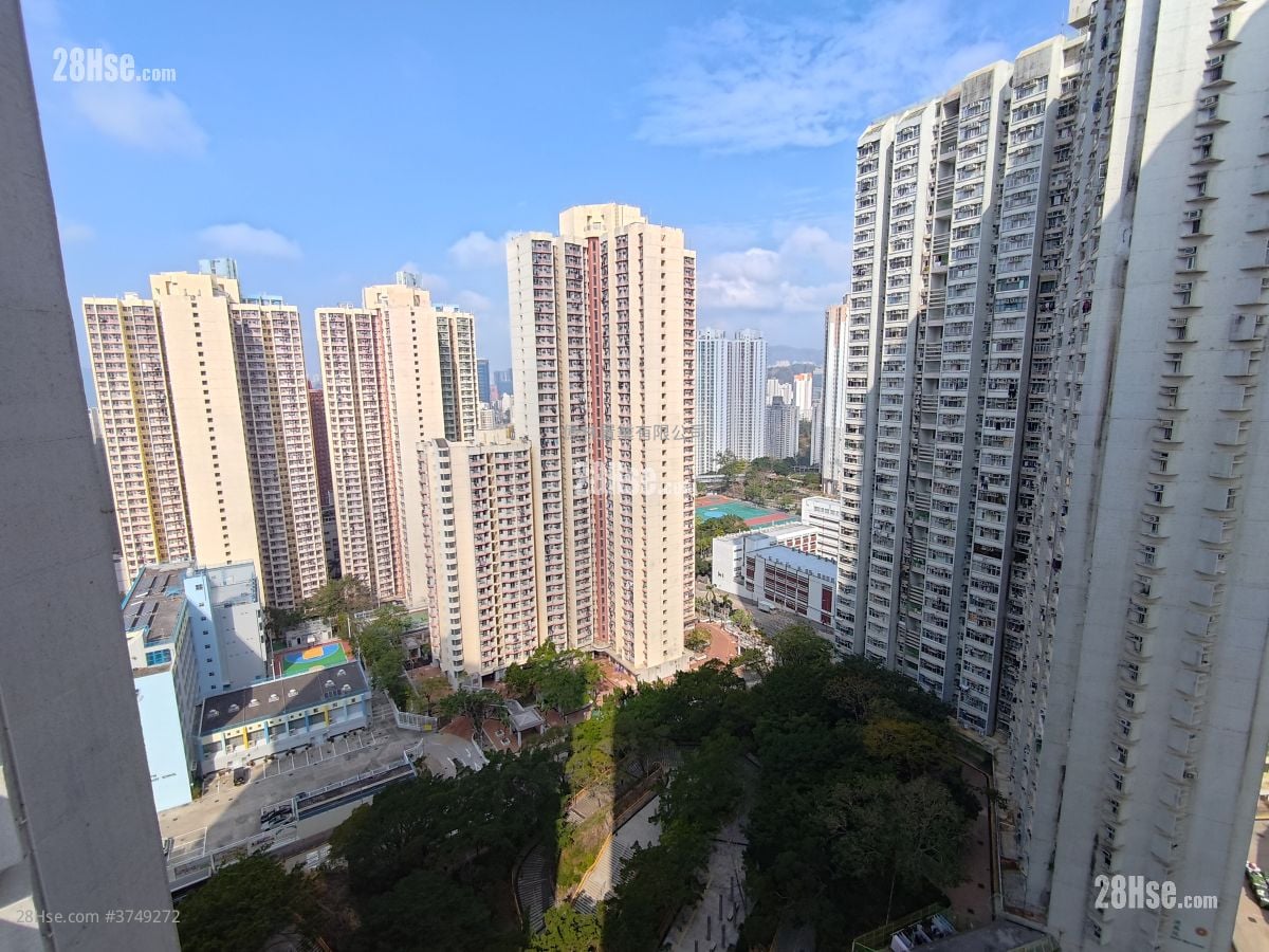 德田邨 售盤 開放式間隔 , 1 浴室 165 平方呎