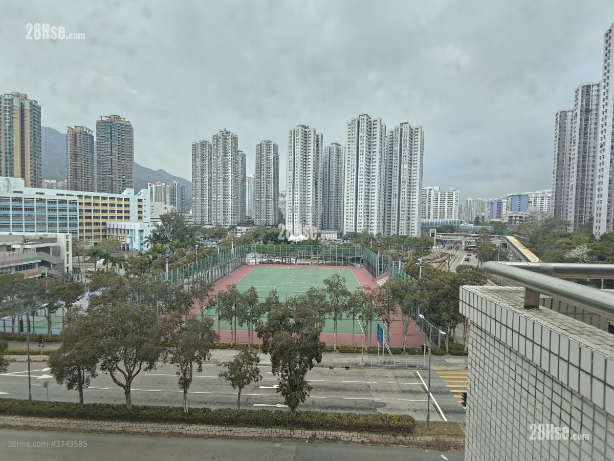 My Loft Sell 1 Toilet