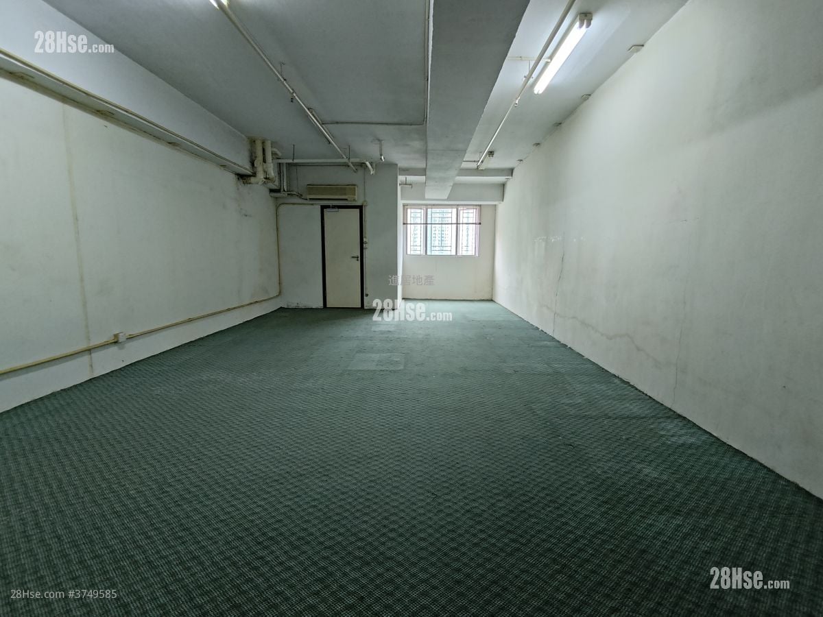 My Loft Sell 1 Toilet