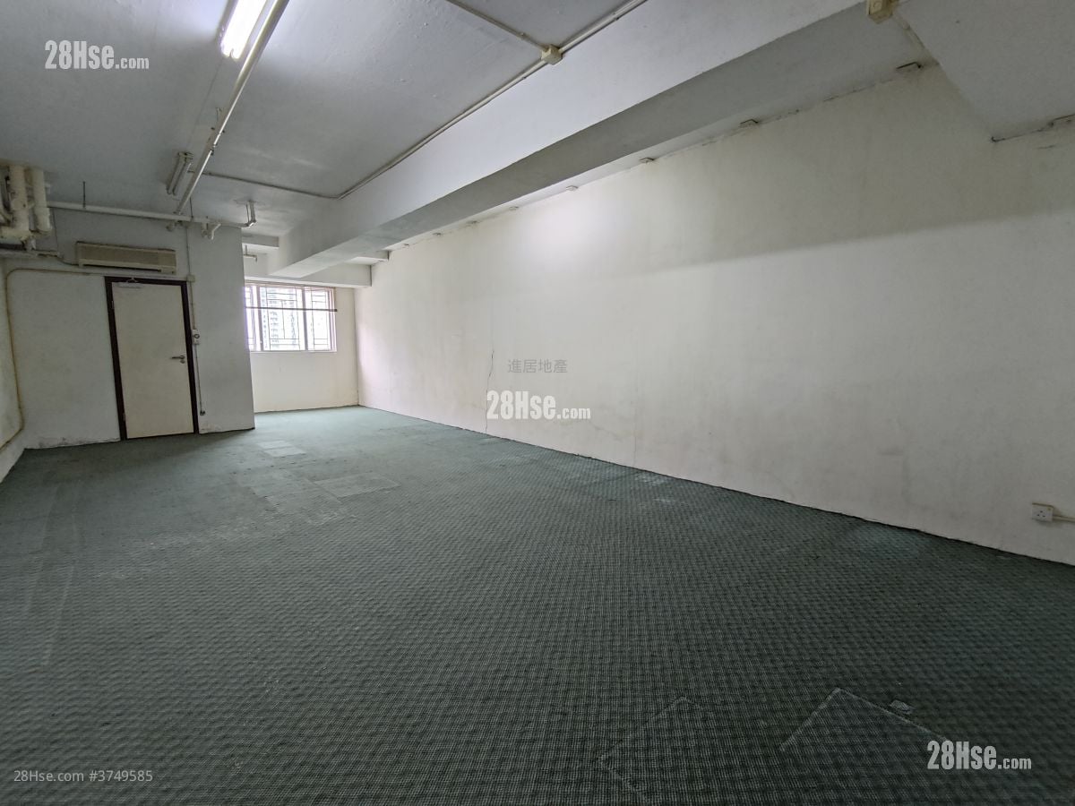 My Loft Sell 1 Toilet