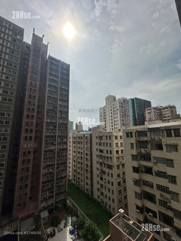 加多利轩 售盘 开放式间隔 , 1 浴室 180 平方尺