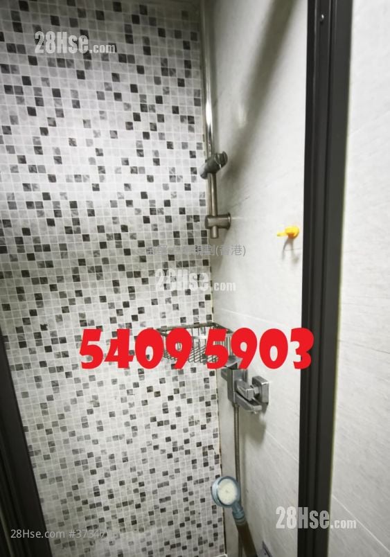 丽华楼 租盘 开放式间隔 , 1 浴室 220 平方尺