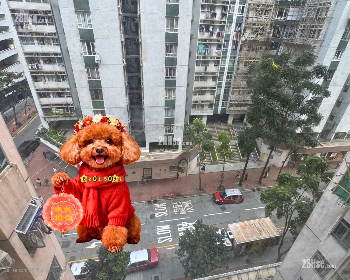 红磡湾中心 售盘 2 房 411 平方尺