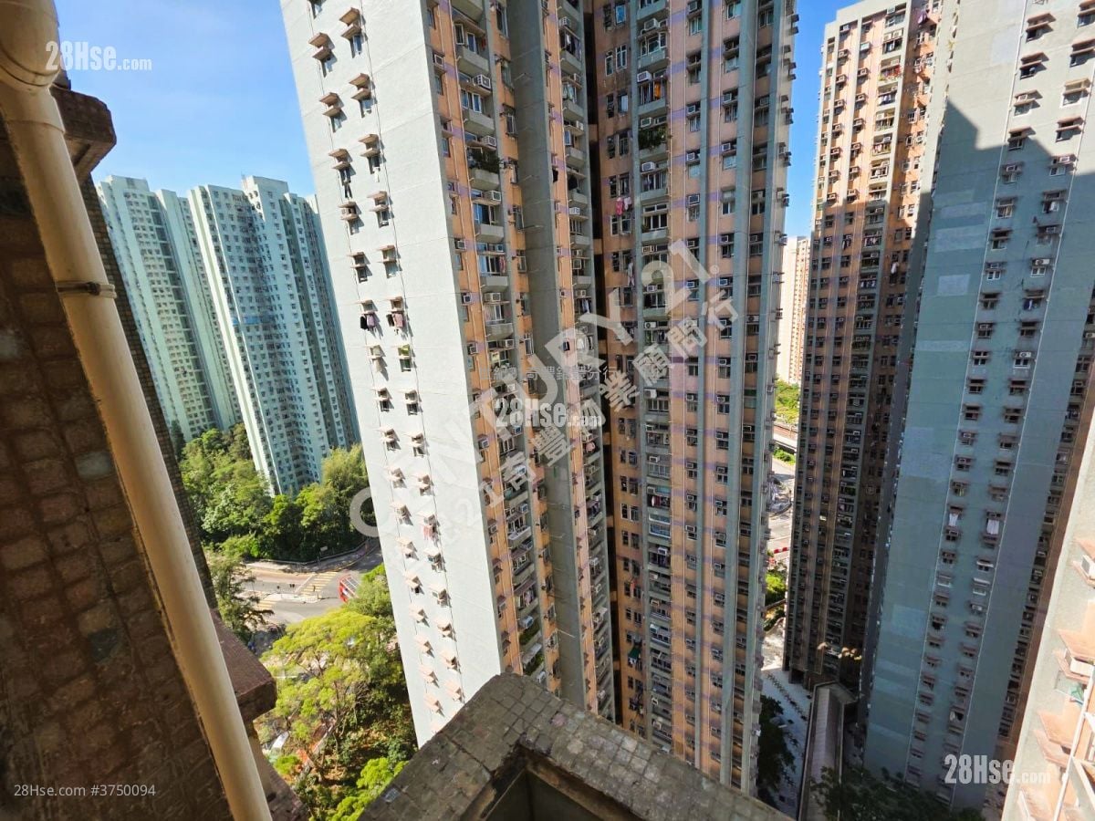 锦龙苑 售盘 3 房 , 1 浴室 554 平方尺