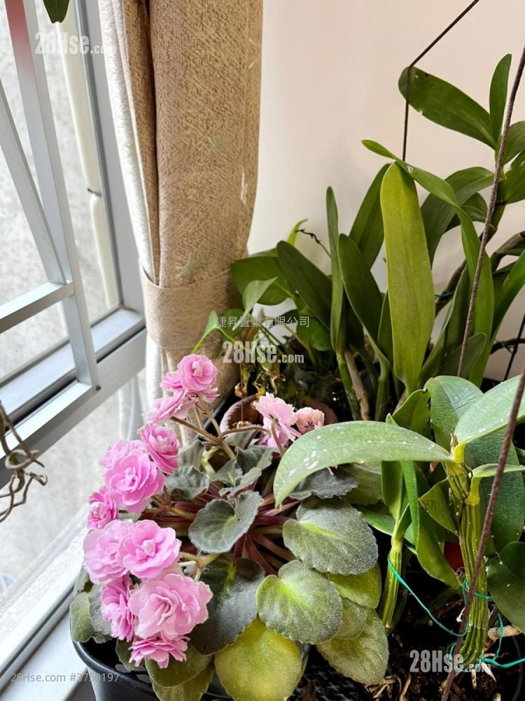 嘉景花园 售盘 3 房 , 1 浴室 449 平方尺