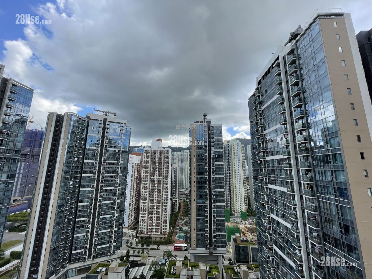 Oasis Kai Tak 租盤 1 房 , 1 浴室 366 平方呎